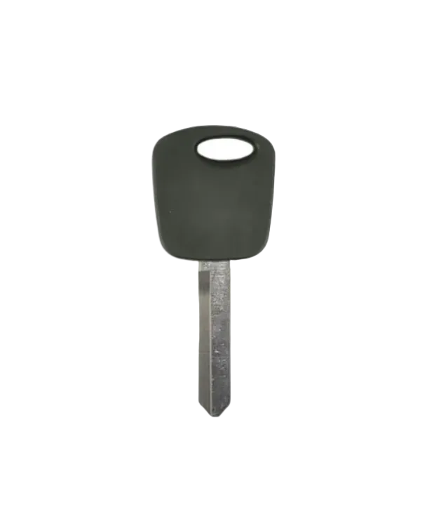 H73 Transponder Chip Key